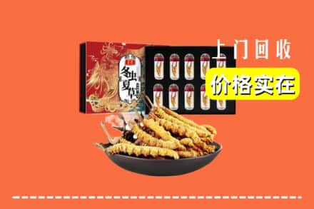 石林县回收冬虫夏草
